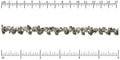 shell dangles chain ANTIQUE SILVER