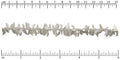 leaf dangles chain MATTE SILVER