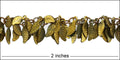 leaf dangles chain RAW