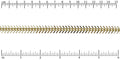 Small Fishbone chain GOLD