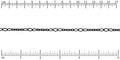 5:3 Oval chain NITE BLACK