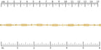 Ruler shown in 1/16-inch increments.<br>Click on image to zoom.