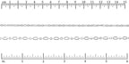 Ruler shown in 1/16-inch increments.<br>Click on image to zoom.