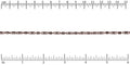 FS - 1 chain ANT COPPER