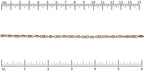 Ruler shown in 1/16-inch increments.<br>Click on image to zoom.