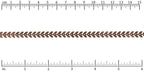 Ruler shown in 1/16-inch increments.<br>Click on image to zoom.