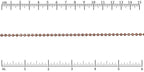 Ruler shown in 1/16-inch increments.<br>Click on image to zoom.