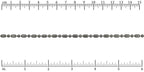 Ruler shown in 1/16-inch increments.<br>Click on image to zoom.