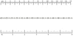 Ruler shown in 1/16-inch increments.<br>Click on image to zoom.