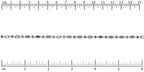 Ruler shown in 1/16-inch increments.<br>Click on image to zoom.