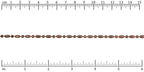 Ruler shown in 1/16-inch increments.<br>Click on image to zoom.