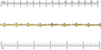 Ruler shown in 1/16-inch increments.<br>Click on image to zoom.