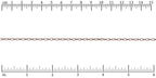 Ruler shown in 1/16-inch increments.<br>Click on image to zoom.