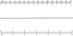 Ruler shown in 1/16-inch increments.<br>Click on image to zoom.