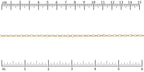 Ruler shown in 1/16-inch increments.<br>Click on image to zoom.