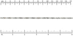 Ruler shown in 1/16-inch increments.<br>Click on image to zoom.