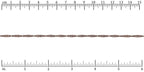 Ruler shown in 1/16-inch increments.<br>Click on image to zoom.