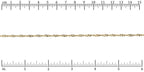 Ruler shown in 1/16-inch increments.<br>Click on image to zoom.