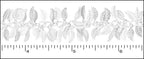 Leaf Dangles Chain with Silver Plating