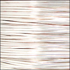 Parawire SILVER 20 gauge 40 FEET