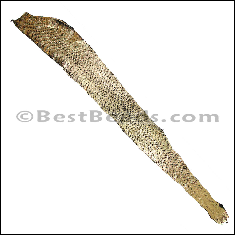 SALMON leather skin GOLD - 1 hide