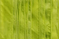 SILKY Ribbon - Bundle of 10 Strands Color: 57-CHARTREUSE