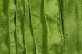 SILKY Ribbon - Bundle of 10 Strands Color: 98-LIME