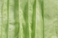 SILKY Ribbon - Bundle of 10 Strands Color: 99-LIGHT LIME