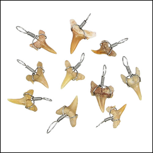 Extra Small Moroccan Shark Teeth - Silver Wired - 25 pcs