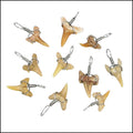 Extra Small Moroccan Shark Teeth - Silver Wired - 25 pcs