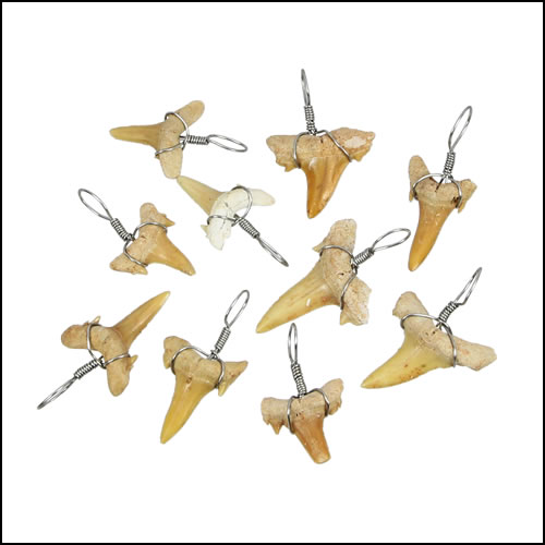 Small Moroccan Shark Teeth - Silver Wired - 25 pcs