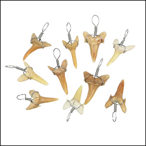 Medium Moroccan Shark Teeth - Silver Wired - 25 pcs