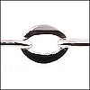 CH-019-SP
