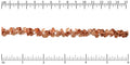 Ruler shown in 1/16-inch increments.<br>Click on image to zoom.
