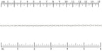 Ruler shown in 1/16-inch increments.<br>Click on image to zoom.