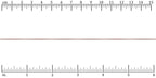 Ruler shown in 1/16-inch increments.<br>Click on image to zoom.