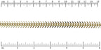 Ruler shown in 1/16-inch increments.<br>Click on image to zoom.