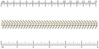 Ruler shown in 1/16-inch increments.<br>Click on image to zoom.