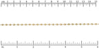 Ruler shown in 1/16-inch increments.<br>Click on image to zoom.