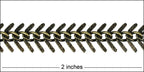 Small TEXTURED Fishbone chain ANTIQUE BRASS