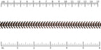 Ruler shown in 1/16-inch increments.<br>Click on image to zoom.