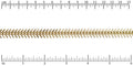 Ruler shown in 1/16-inch increments.<br>Click on image to zoom.