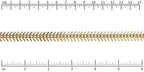 Ruler shown in 1/16-inch increments.<br>Click on image to zoom.