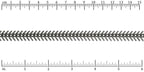 Ruler shown in 1/16-inch increments.<br>Click on image to zoom.