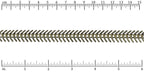 Ruler shown in 1/16-inch increments.<br>Click on image to zoom.