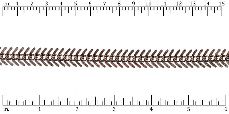 Ruler shown in 1/16-inch increments.<br>Click on image to zoom.