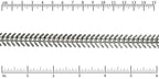 Ruler shown in 1/16-inch increments.<br>Click on image to zoom.