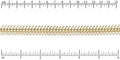Medium TEXTURED Fishbone chain MATTE GOLD