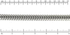 Ruler shown in 1/16-inch increments.<br>Click on image to zoom.