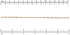 Ruler shown in 1/16-inch increments.<br>Click on image to zoom.